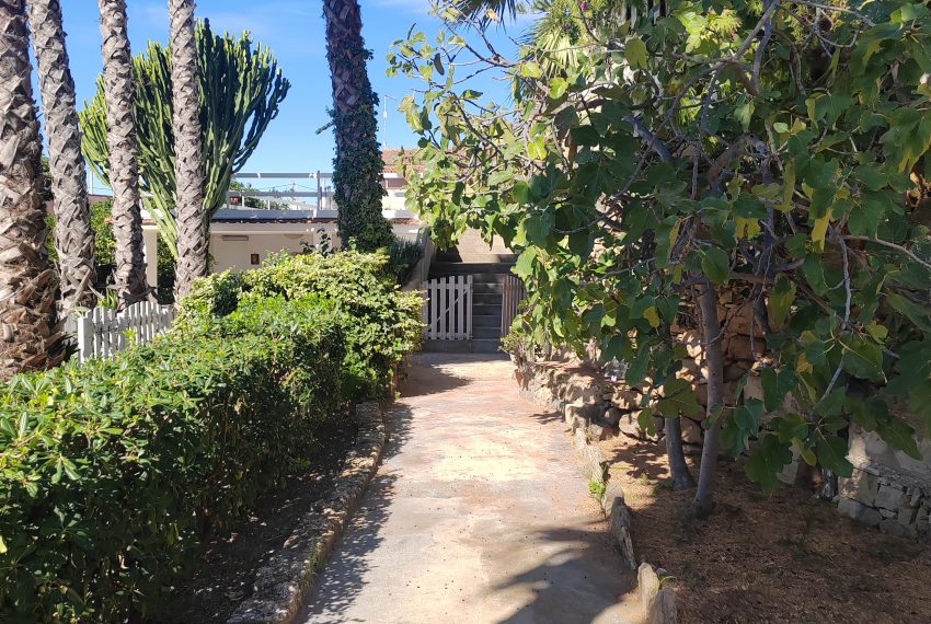 esterni e giardino (1)