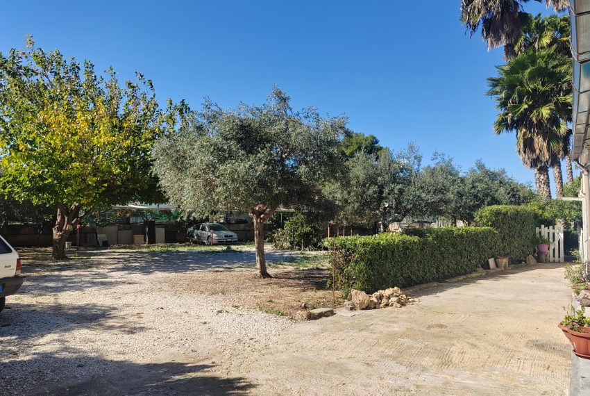 esterni e giardino (12)