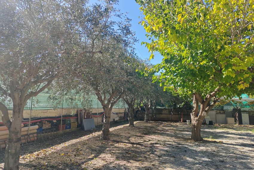 esterni e giardino (19)