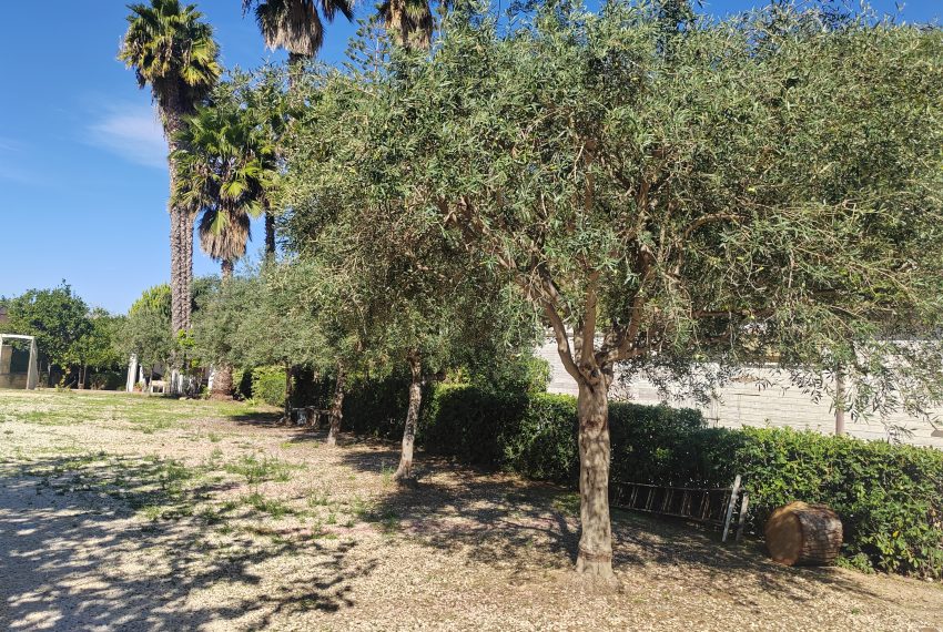 esterni e giardino (20)