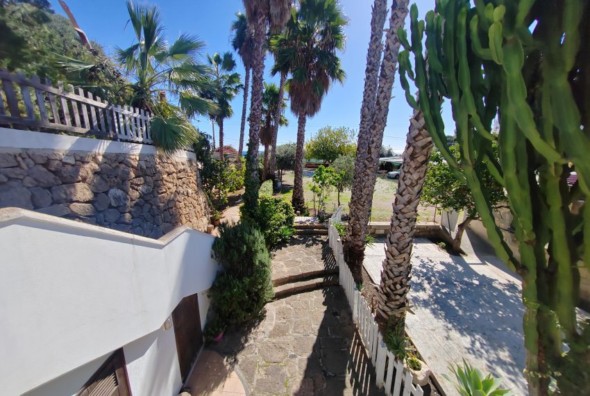 esterni e giardino (6)