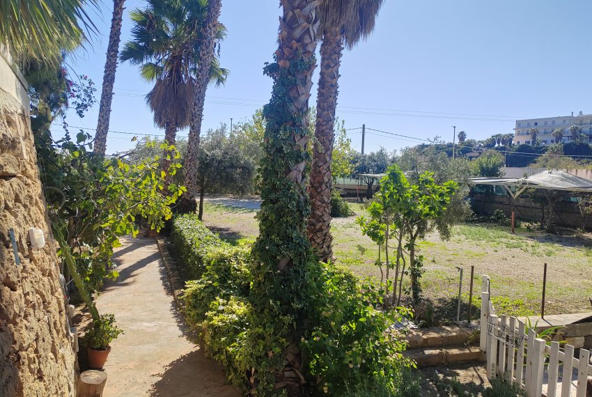 esterni e giardino (8)