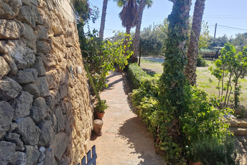 esterni e giardino (9)