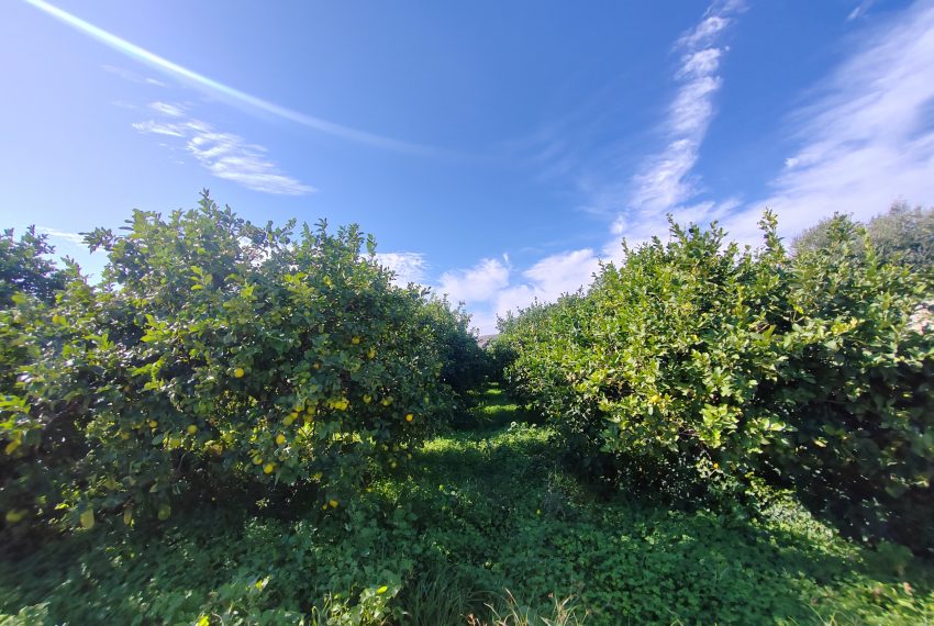 IMG_20251120_105759_1