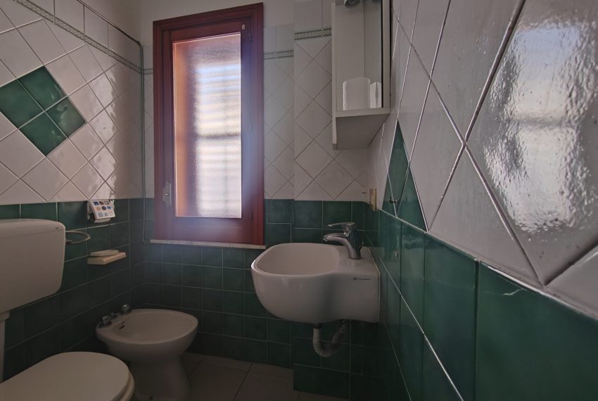 IMG_20260205_094701_edit_269765835430267