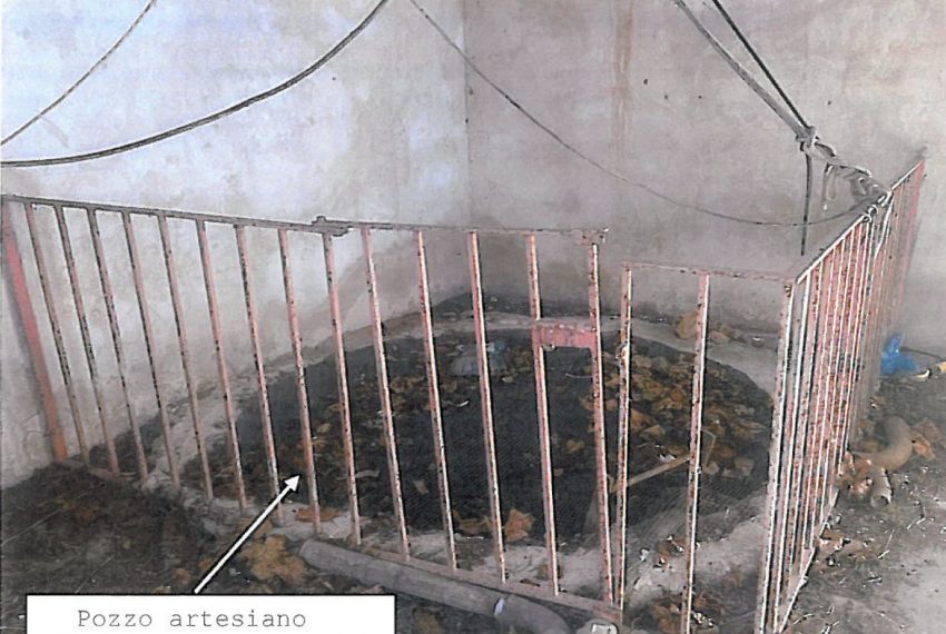 WhatsApp Image 2026-02-17 at 22.33.20 (1)