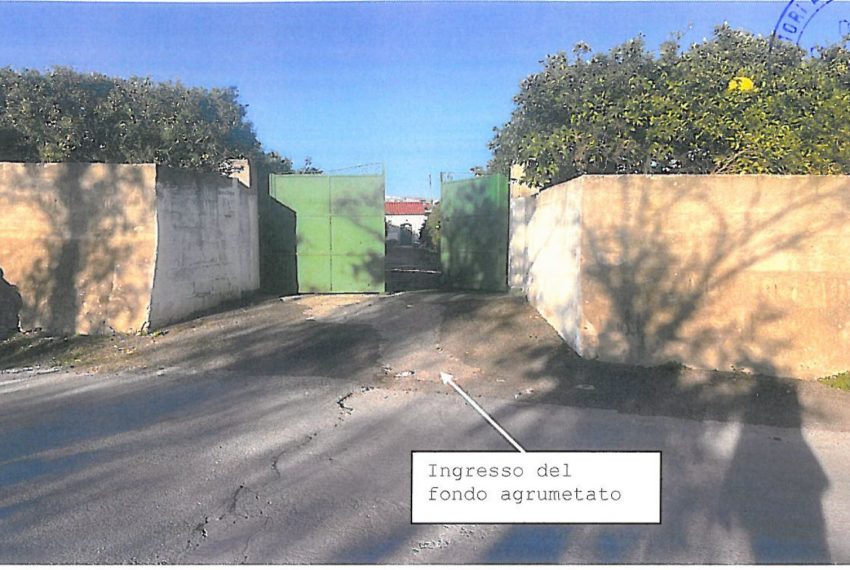 WhatsApp Image 2026-02-17 at 22.33.20 (4)