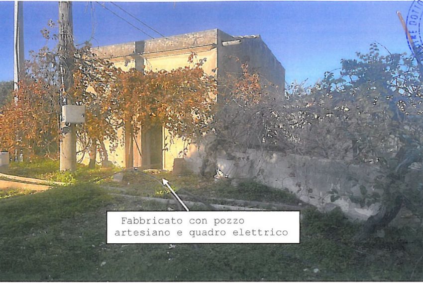 WhatsApp Image 2026-02-17 at 22.33.20