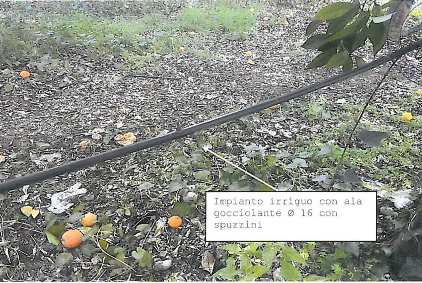 WhatsApp Image 2026-02-17 at 22.33.21 (2)