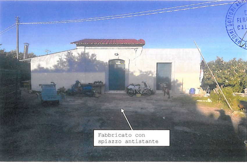 WhatsApp Image 2026-02-17 at 22.33.21